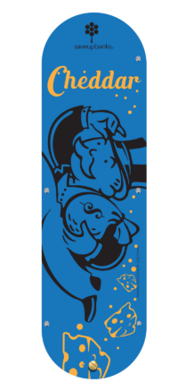 Cheddar Savings bank